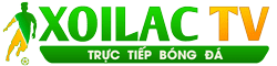 vtvgo