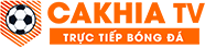 vtvgo