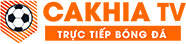 vtvgo